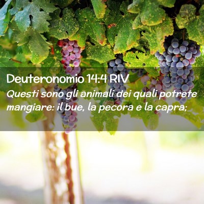 Picture 02 - Deuteronomio 14:4 RIV - Questi sono gli animali dei quali potrete - Bible Verse Picture