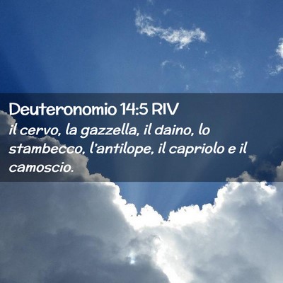 Picture 02 - Deuteronomio 14:5 RIV - il cervo, la gazzella, il daino, lo stambecco, - Bible Verse Picture
