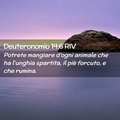 Picture 02 - Deuteronomio 14:6 RIV - Potrete mangiare d’ogni animale che ha - Bible Verse Picture