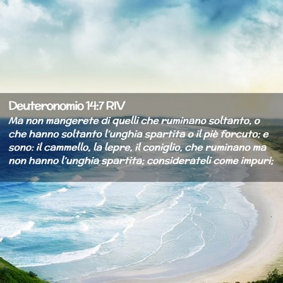 Picture 02 - Deuteronomio 14:7 RIV - Ma non mangerete di quelli che ruminano soltanto, - Bible Verse Picture