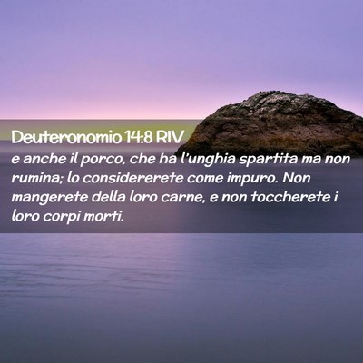 Picture 02 - Deuteronomio 14:8 RIV - e anche il porco, che ha l’unghia spartita ma - Bible Verse Picture