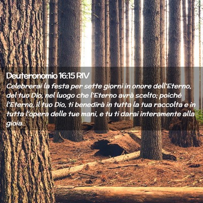 Picture 02 - Deuteronomio 16:15 RIV - Celebrerai la festa per sette giorni in onore - Bible Verse Picture