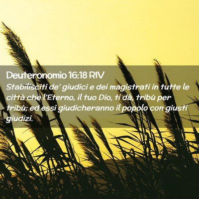 Picture 02 - Deuteronomio 16:18 RIV - Stabilisciti de’ giudici e dei magistrati in - Bible Verse Picture