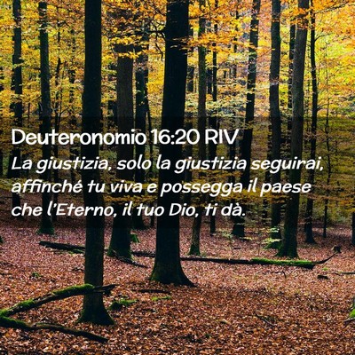 Picture 02 - Deuteronomio 16:20 RIV - La giustizia, solo la giustizia seguirai, - Bible Verse Picture