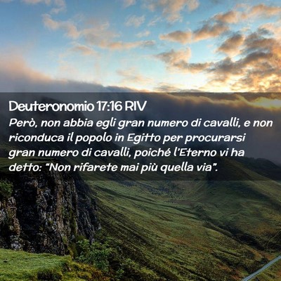 Picture 02 - Deuteronomio 17:16 RIV - Però, non abbia egli gran numero di cavalli, e - Bible Verse Picture