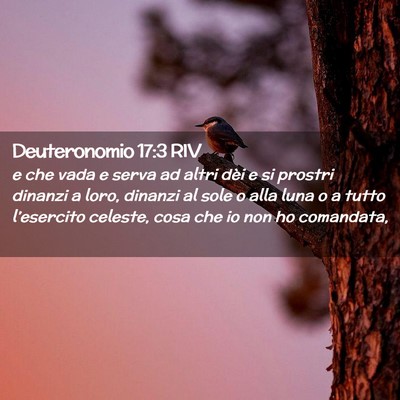 Picture 02 - Deuteronomio 17:3 RIV - e che vada e serva ad altri dèi e si prostri - Bible Verse Picture
