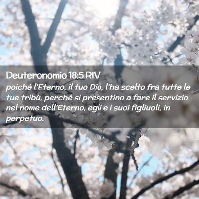 Picture 02 - Deuteronomio 18:5 RIV - poiché l’Eterno, il tuo Dio, l’ha scelto fra - Bible Verse Picture