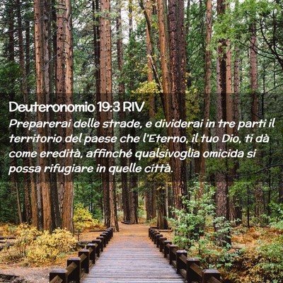 Picture 02 - Deuteronomio 19:3 RIV - Preparerai delle strade, e dividerai in tre parti - Bible Verse Picture