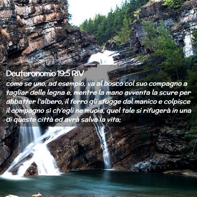 Picture 02 - Deuteronomio 19:5 RIV - come se uno, ad esempio, va al bosco col suo - Bible Verse Picture