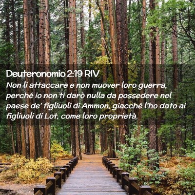 Picture 02 - Deuteronomio 2:19 RIV - Non li attaccare e non muover loro guerra, - Bible Verse Picture
