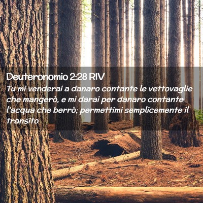 Picture 02 - Deuteronomio 2:28 RIV - Tu mi venderai a danaro contante le vettovaglie - Bible Verse Picture