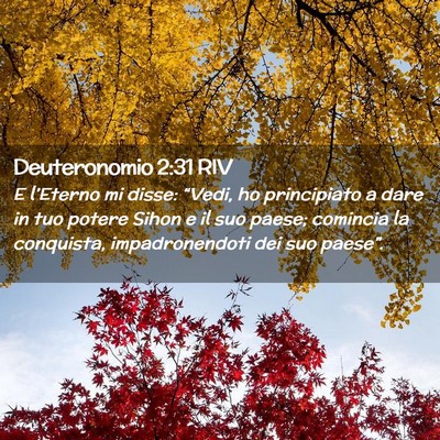 Picture 02 - Deuteronomio 2:31 RIV - E l’Eterno mi disse: “Vedi, ho principiato a - Bible Verse Picture