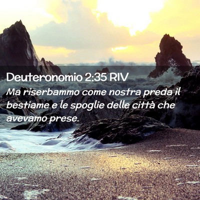 Picture 02 - Deuteronomio 2:35 RIV - Ma riserbammo come nostra preda il bestiame e le - Bible Verse Picture