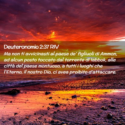 Picture 02 - Deuteronomio 2:37 RIV - Ma non ti avvicinasti al paese de’ figliuoli di - Bible Verse Picture