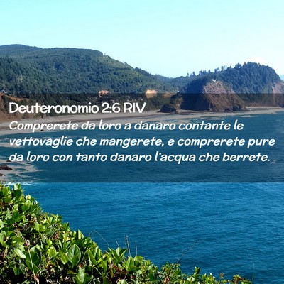 Picture 02 - Deuteronomio 2:6 RIV - Comprerete da loro a danaro contante le - Bible Verse Picture