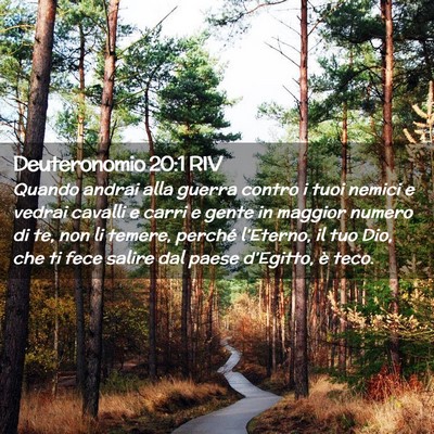 Picture 02 - Deuteronomio 20:1 RIV - Quando andrai alla guerra contro i tuoi nemici e - Bible Verse Picture