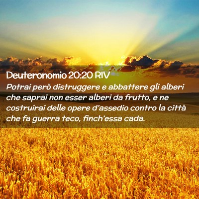 Picture 02 - Deuteronomio 20:20 RIV - Potrai però distruggere e abbattere gli alberi - Bible Verse Picture
