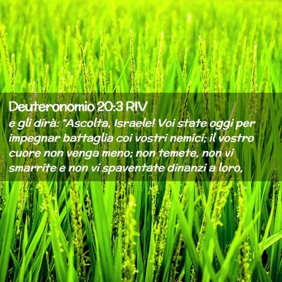 Picture 02 - Deuteronomio 20:3 RIV - e gli dirà: “Ascolta, Israele! Voi state oggi - Bible Verse Picture