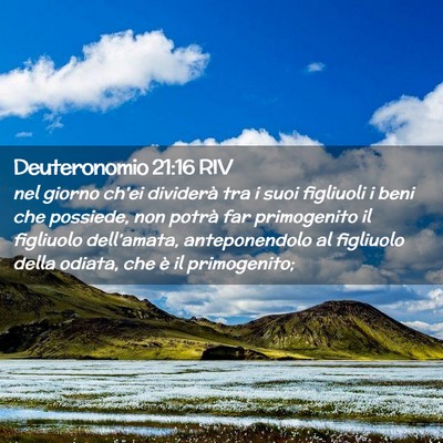 Picture 02 - Deuteronomio 21:16 RIV - nel giorno ch’ei dividerà tra i suoi figliuoli - Bible Verse Picture