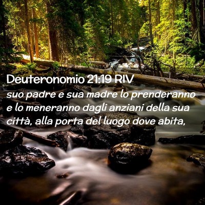 Picture 02 - Deuteronomio 21:19 RIV - suo padre e sua madre lo prenderanno e lo - Bible Verse Picture