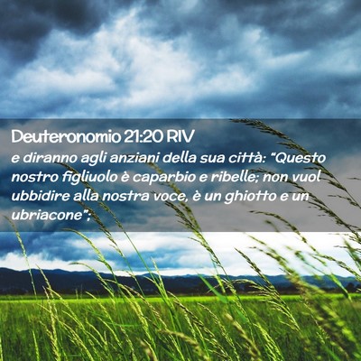 Picture 02 - Deuteronomio 21:20 RIV - e diranno agli anziani della sua città: - Bible Verse Picture
