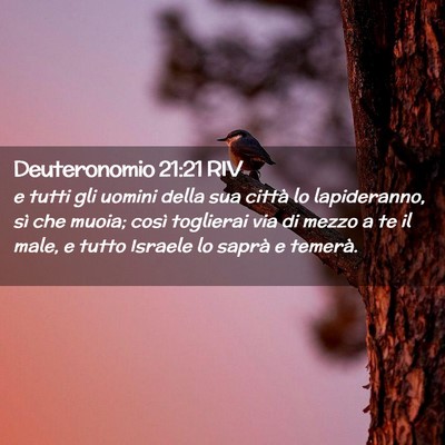 Picture 02 - Deuteronomio 21:21 RIV - e tutti gli uomini della sua città lo - Bible Verse Picture