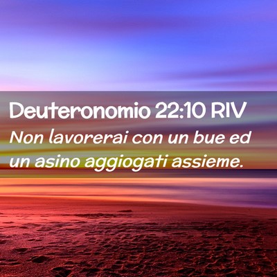 Picture 02 - Deuteronomio 22:10 RIV - Non lavorerai con un bue ed un asino aggiogati - Bible Verse Picture