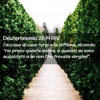 Picture 02 - Deuteronomio 22:14 RIV - l’accusa di cose turpi e la diffama, dicendo: - Bible Verse Picture