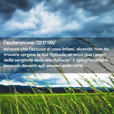 Picture 02 - Deuteronomio 22:17 RIV - ed ecco che l’accusa di cose infami, dicendo: - Bible Verse Picture