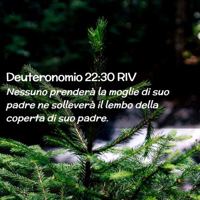 Picture 02 - Deuteronomio 22:30 RIV - Nessuno prenderà la moglie di suo padre ne - Bible Verse Picture