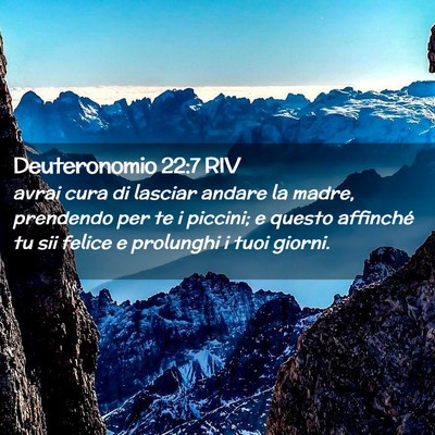 Picture 02 - Deuteronomio 22:7 RIV - avrai cura di lasciar andare la madre, prendendo - Bible Verse Picture