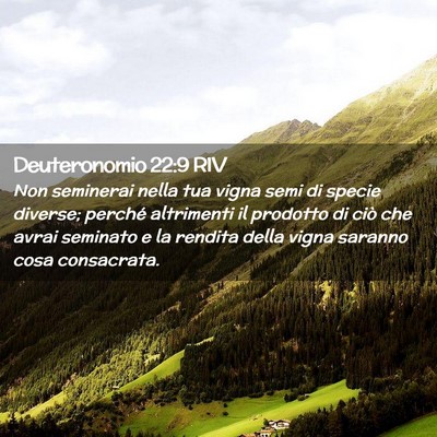 Picture 02 - Deuteronomio 22:9 RIV - Non seminerai nella tua vigna semi di specie - Bible Verse Picture