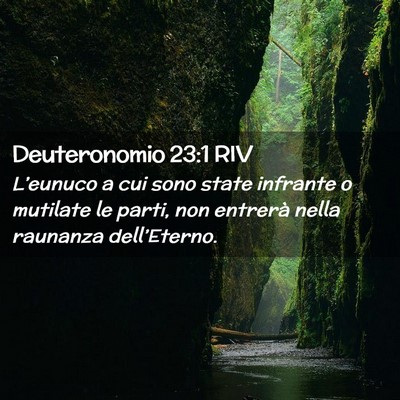 Picture 02 - Deuteronomio 23:1 RIV - L’eunuco a cui sono state infrante o mutilate - Bible Verse Picture