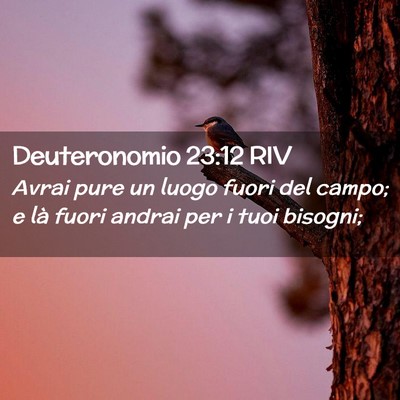 Picture 02 - Deuteronomio 23:12 RIV - Avrai pure un luogo fuori del campo; e là fuori - Bible Verse Picture