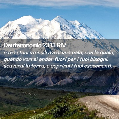Picture 02 - Deuteronomio 23:13 RIV - e fra i tuoi utensili avrai una pala, con la - Bible Verse Picture