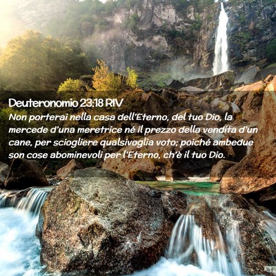Picture 02 - Deuteronomio 23:18 RIV - Non porterai nella casa dell’Eterno, del tuo - Bible Verse Picture