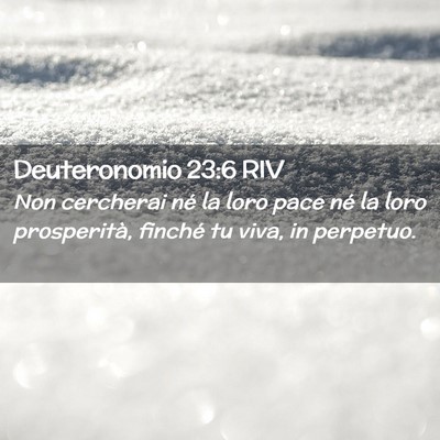 Picture 02 - Deuteronomio 23:6 RIV - Non cercherai né la loro pace né la loro - Bible Verse Picture