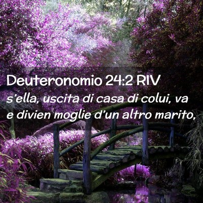 Picture 02 - Deuteronomio 24:2 RIV - s’ella, uscita di casa di colui, va e divien - Bible Verse Picture