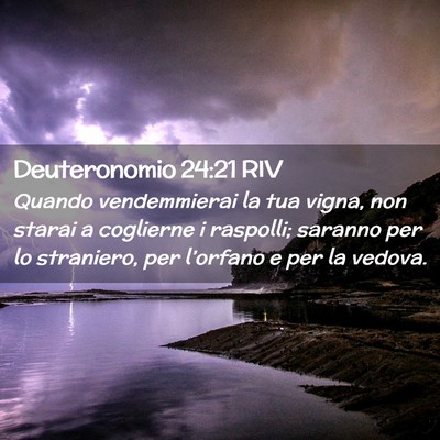 Picture 02 - Deuteronomio 24:21 RIV - Quando vendemmierai la tua vigna, non starai a - Bible Verse Picture