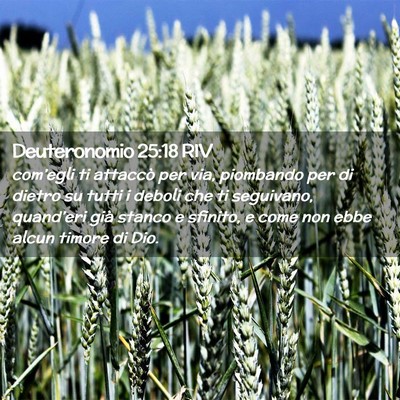 Picture 02 - Deuteronomio 25:18 RIV - com’egli ti attaccò per via, piombando per di - Bible Verse Picture