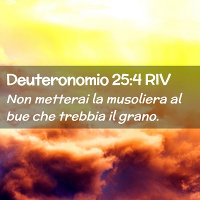 Picture 02 - Deuteronomio 25:4 RIV - Non metterai la musoliera al bue che trebbia il - Bible Verse Picture