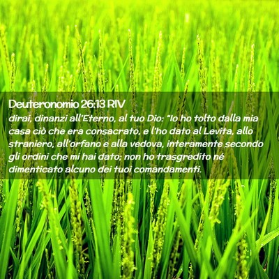 Picture 02 - Deuteronomio 26:13 RIV - dirai, dinanzi all’Eterno, al tuo Dio: “Io ho - Bible Verse Picture