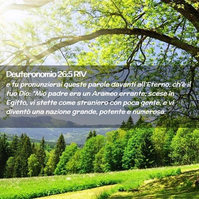 Picture 02 - Deuteronomio 26:5 RIV - e tu pronunzierai queste parole davanti - Bible Verse Picture