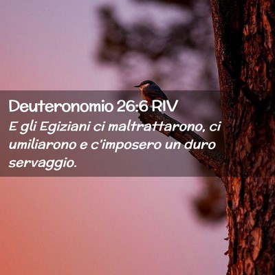 Picture 02 - Deuteronomio 26:6 RIV - E gli Egiziani ci maltrattarono, ci umiliarono e - Bible Verse Picture