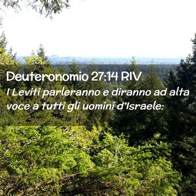 Picture 02 - Deuteronomio 27:14 RIV - I Leviti parleranno e diranno ad alta voce a - Bible Verse Picture