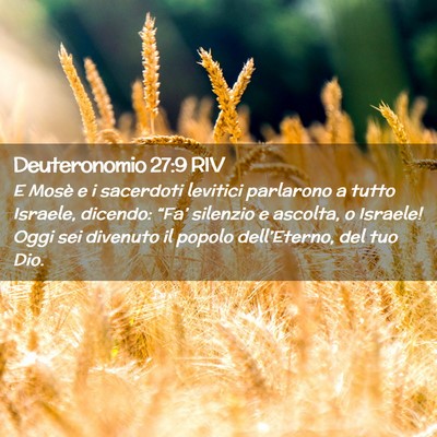 Picture 02 - Deuteronomio 27:9 RIV - E Mosè e i sacerdoti levitici parlarono a tutto - Bible Verse Picture
