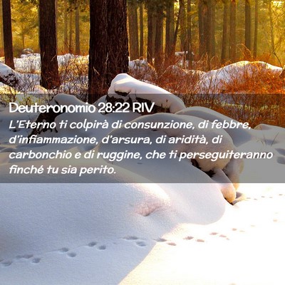 Picture 02 - Deuteronomio 28:22 RIV - L’Eterno ti colpirà di consunzione, di febbre, - Bible Verse Picture