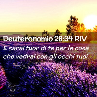 Picture 02 - Deuteronomio 28:34 RIV - E sarai fuor di te per le cose che vedrai con gli - Bible Verse Picture