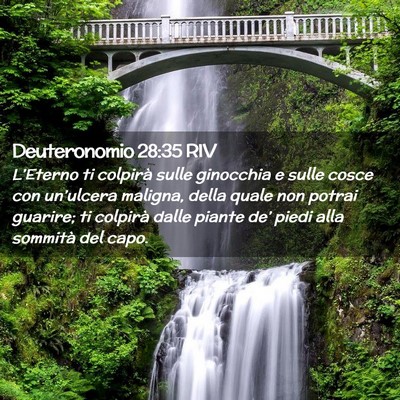 Picture 02 - Deuteronomio 28:35 RIV - L’Eterno ti colpirà sulle ginocchia e sulle - Bible Verse Picture