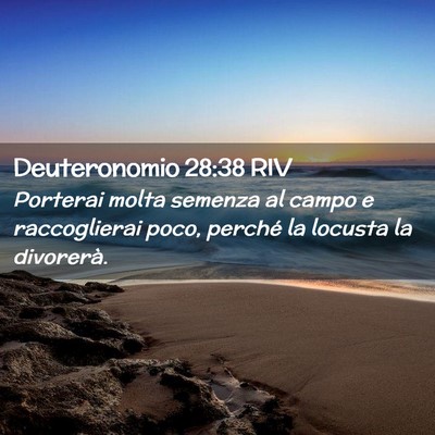 Picture 02 - Deuteronomio 28:38 RIV - Porterai molta semenza al campo e raccoglierai - Bible Verse Picture